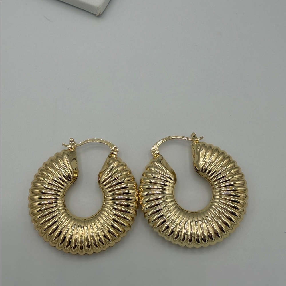 Gold Hoop Earrings